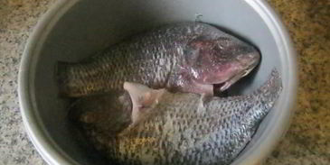 рыба в сливочном масле с вином и чесноком