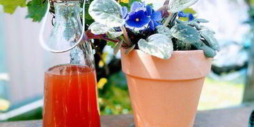 коктейль для него и для нее