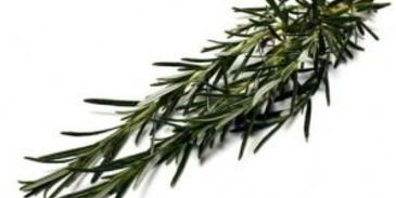 коктейль мандариновая искра