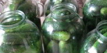 огурцы соленые с водкой