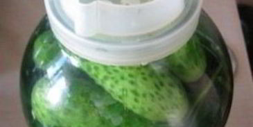 огурцы соленые с водкой