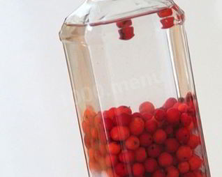 Водка на рябине