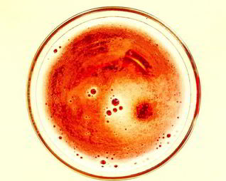 Белый домашний квас