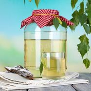 Рецепт Березового кваса с корой березы