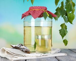 Березовый квас с корой березы