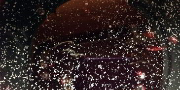 черничный квас