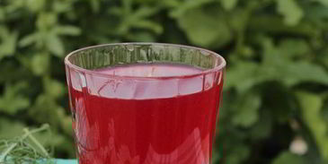 домашний квас на смородине