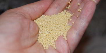 домашний квас петровский