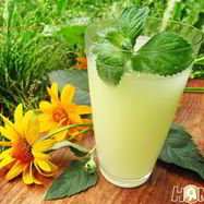 Рецепт Имбирного кваса — Дзыдзыбиры