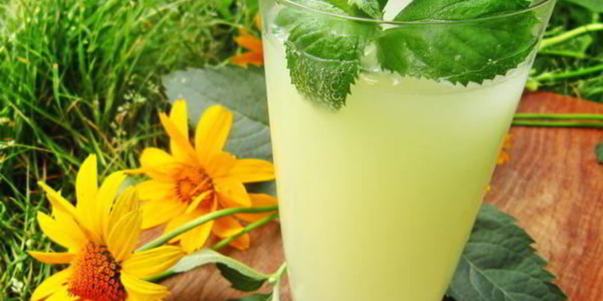 Рецепт имбирного кваса — дзыдзыбиры