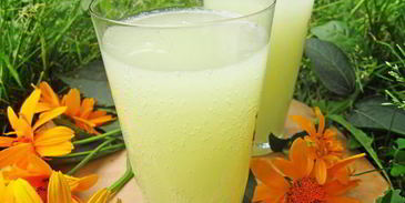 имбирный квас — дзыдзыбира