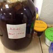 Рецепт Кваса для настроения Велкам ту Шамбала