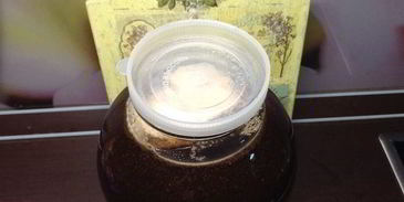 квас для настроения велкам ту шамбала