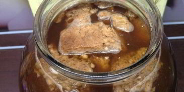 квас для настроения велкам ту шамбала