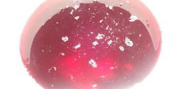 квас из аронии