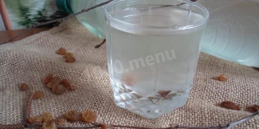 Рецепт кваса из березового сока без дрожжей