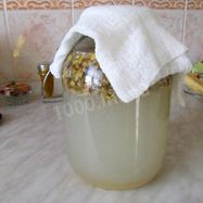 Рецепт Кваса из березового сока с сухофруктами