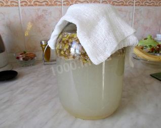 Квас из березового сока с сухофруктами