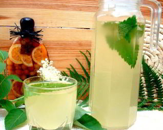 Квас из бузины