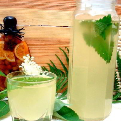 Квас из бузины