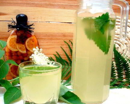 Квас из бузины