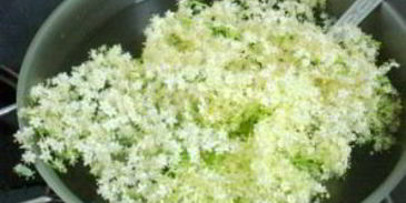 квас из бузины