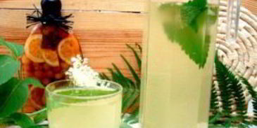 квас из бузины