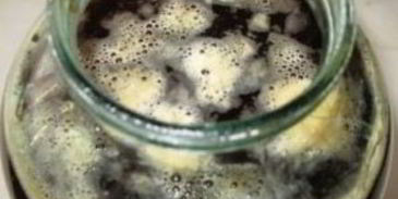 квас из концентрата