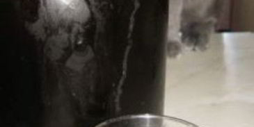 квас из концентрата