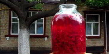 квас из красной свеклы