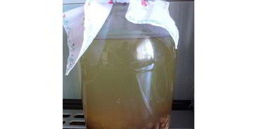 квас из овса летний