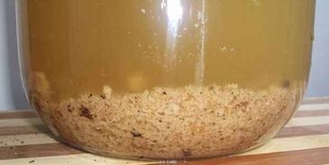 квас на хлебе