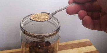 квас на хлебе