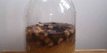 квас на хлебе