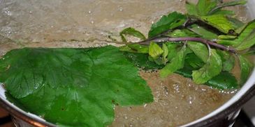 смородиновый квас