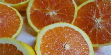 апельсиновый ликер куантро