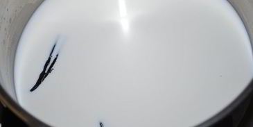 крем-ликер limoncino