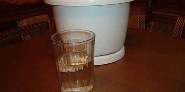 ликер дикое молоко бешеной коровки