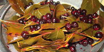 ликер вишневый