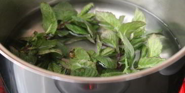 мятный ликер