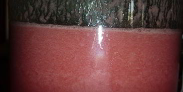 гламурный лимонад из арбуза