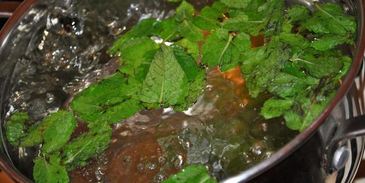 имбирный лимонад с мятой