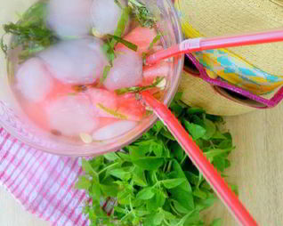 Лимонад Арбуз & Орегано