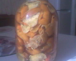 Лимонад из мандариновых и апельсиновых корок