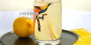 лимонад на березовом соке