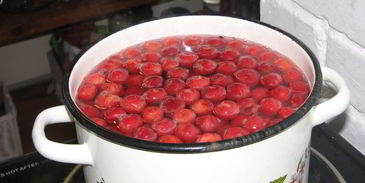 лимонад первая вишня