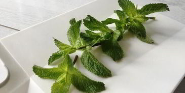 лимонад с мятой и лаймом