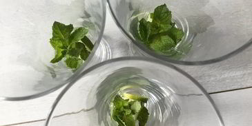 лимонад с мятой и лаймом