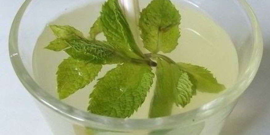 Рецепт лимонада с мятой