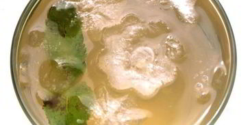 мятный лимонад